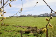 Images for The Oaks, Skipton