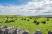Images for Buckstone Livery, Sutton-in-Craven