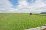 Images for Buckstone Livery, Sutton-in-Craven