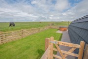 Images for Buckstone Livery, Sutton-in-Craven