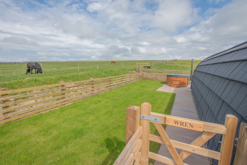 Images for Buckstone Livery, Sutton-in-Craven